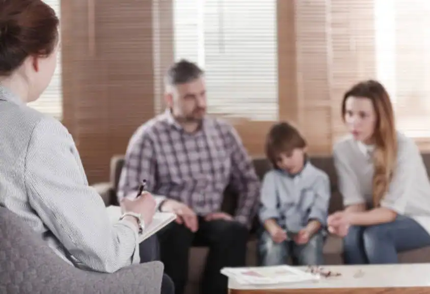 Child Custody and Relocation in International Family Disputes Epping